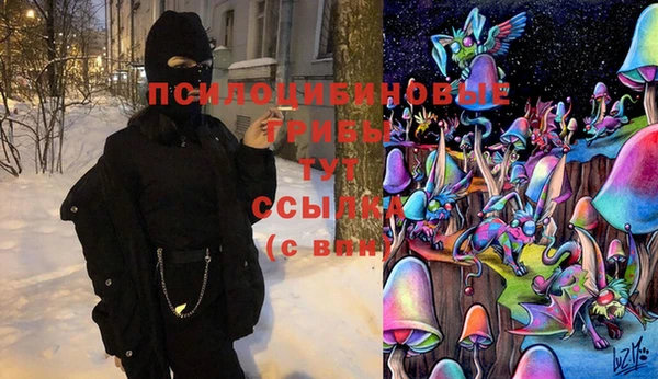 тгк Костерёво