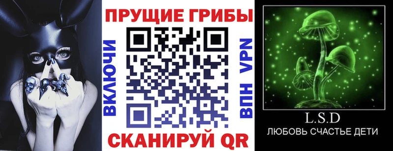 Купить где  Киреевск  Галлюциногенные грибы мицелий 